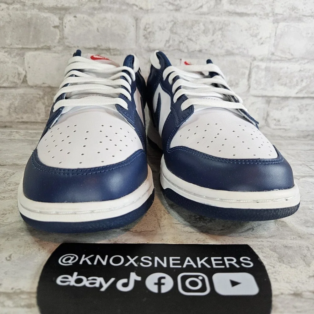 Nike Dunk Low Velarian Blue White Leather DD1391-400 Men's Size 12